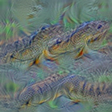 n01697457 African crocodile, Nile crocodile, Crocodylus niloticus